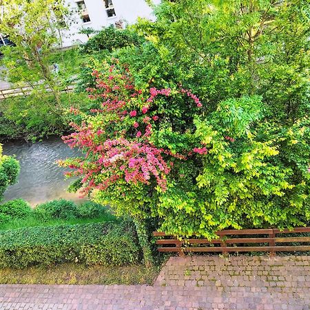 Alte Stadtmauer - Apartment Sinsheim Extérieur photo