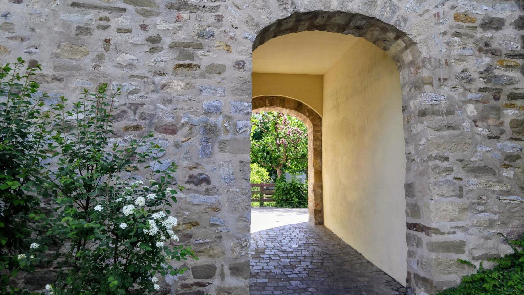 Alte Stadtmauer - Apartment Sinsheim Extérieur photo