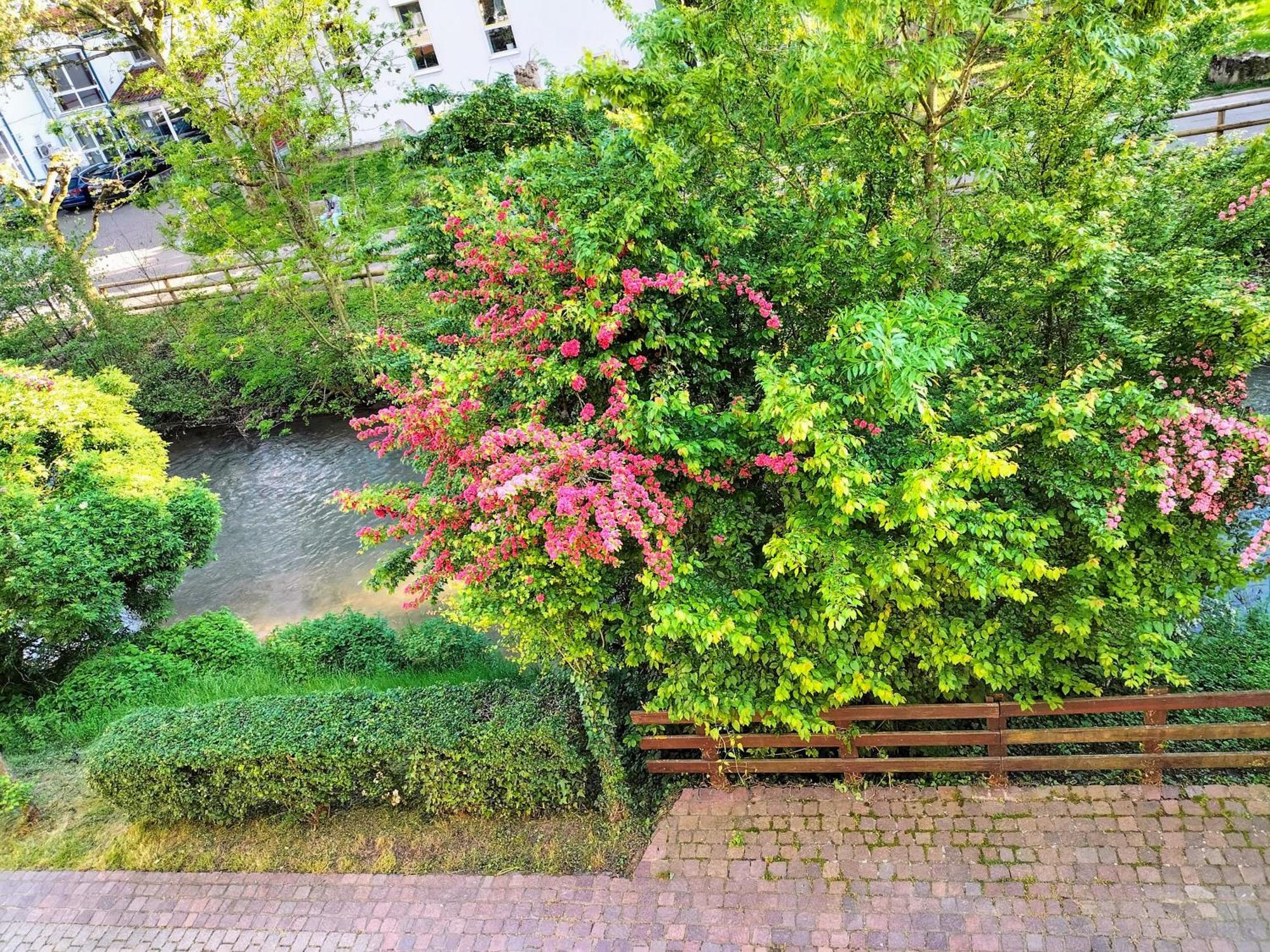 Alte Stadtmauer - Apartment Sinsheim Extérieur photo