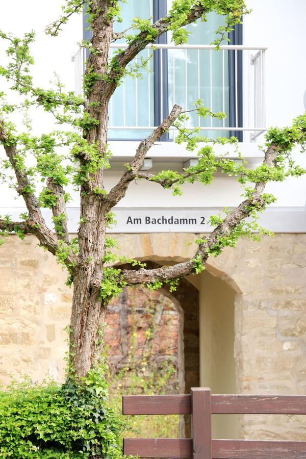 Alte Stadtmauer - Apartment Sinsheim Extérieur photo